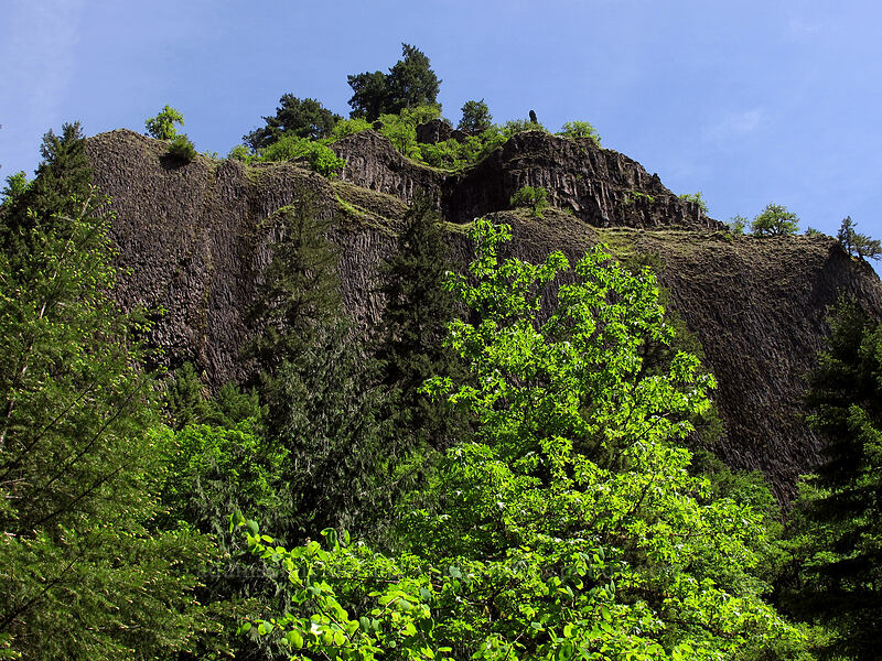 cliffs above Eagle Creek [Eagle Creek Trail, Columbia River Gorge, Hood River County, Oregon]
