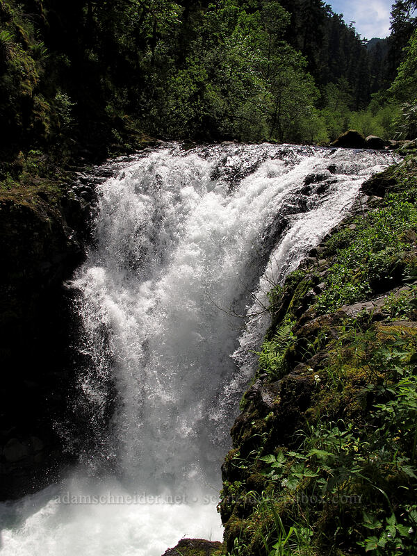 Skoonichuk Falls [Eagle Creek Trail, Columbia River Gorge, Hood River County, Oregon]