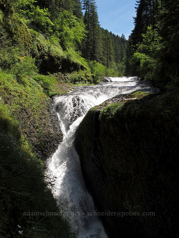 Twister Falls [Eagle Creek Trail, Columbia River Gorge, Hood River County, Oregon]
