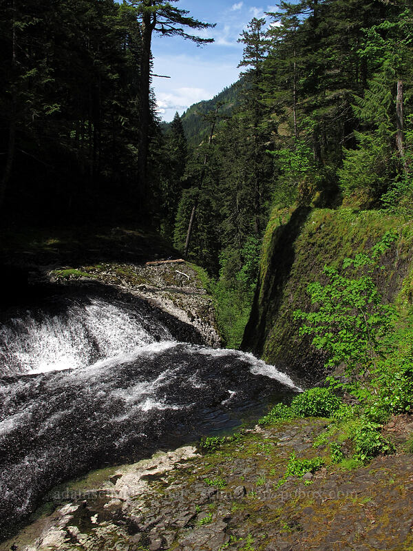 Twister Falls [Eagle Creek Trail, Columbia River Gorge, Hood River County, Oregon]