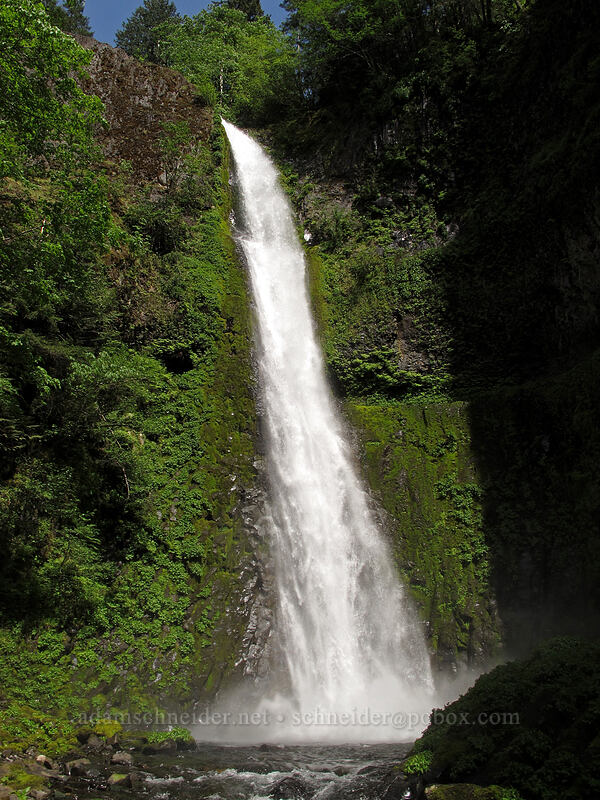 Tunnel Falls [Tunnel Falls, Columbia River Gorge, Hood River County, Oregon]