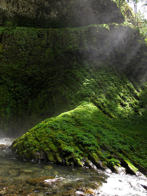 sunlight through mist [Tunnel Falls, Columbia River Gorge, Hood River County, Oregon]