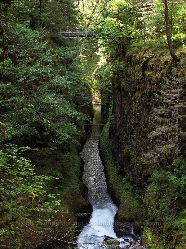 High Bridge [Eagle Creek Trail, Columbia River Gorge, Hood River County, Oregon]