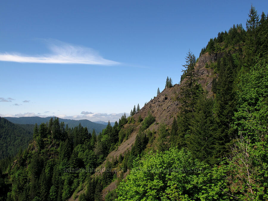 Elk Mountain [Elk Mountain Trail, Tillamook State Forest, Tillamook County, Oregon]