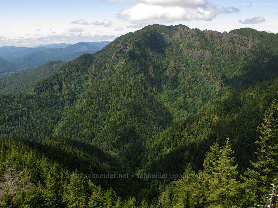 Kings Mountain [Elk Mountain summit, Tillamook State Forest, Tillamook County, Oregon]