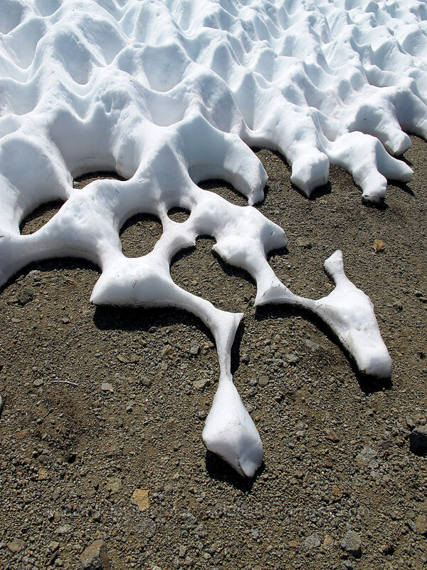 melting snow [Round Top, Mokelumne Wilderness, Alpine County, California]