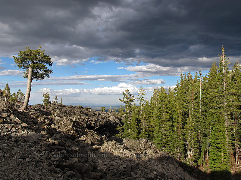 edge of the lava flow [Glass Mountain, Modoc National Forest, Siskiyou County, California]