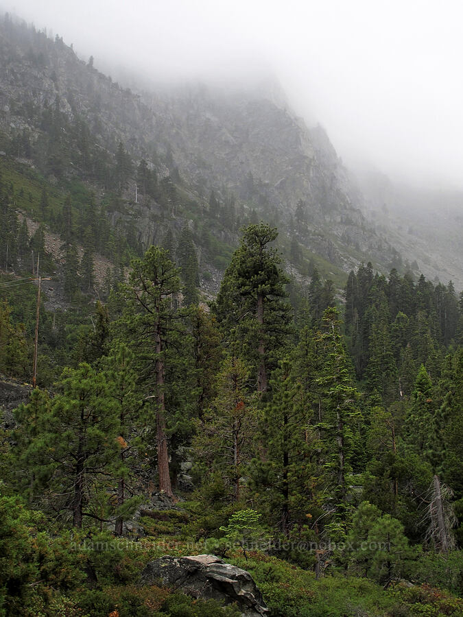 Indian Rock, in the clouds [Glen Alpine Trailhead, Lake Tahoe Basin, El Dorado County, California]