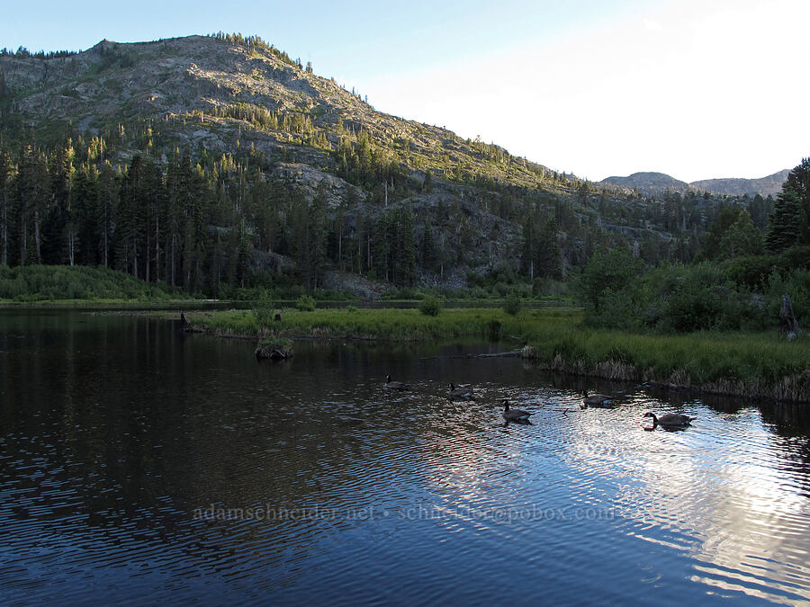 Lily Lake [Glen Alpine Trailhead, Lake Tahoe Basin, El Dorado County, California]
