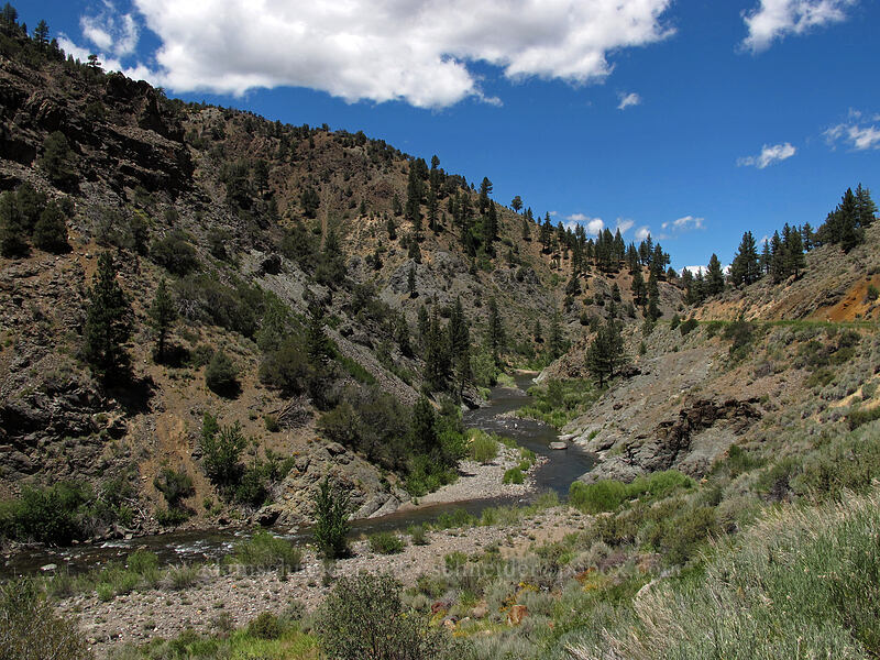 East Fork Carson River [CA-89, Toiyabe National Forest, Alpine County, California]