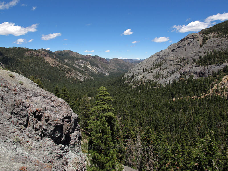 Silver Creek Valley [CA-4, Toiyabe National Forest, Alpine County, California]