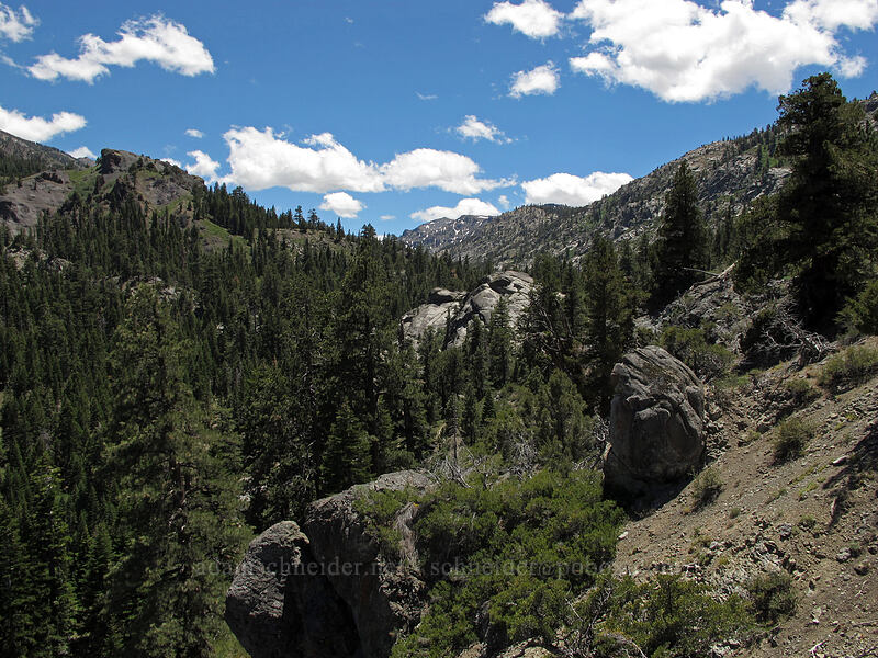 Noble Canyon [CA-4, Toiyabe National Forest, Alpine County, California]