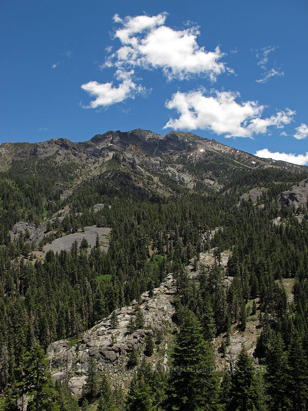Silver Peak [CA-4, Toiyabe National Forest, Alpine County, California]