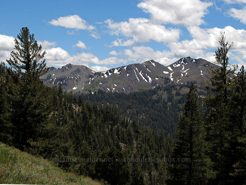 Folger Peak & Hiram Peak [Ebbetts Pass, Toiyabe National Forest, Alpine County, California]