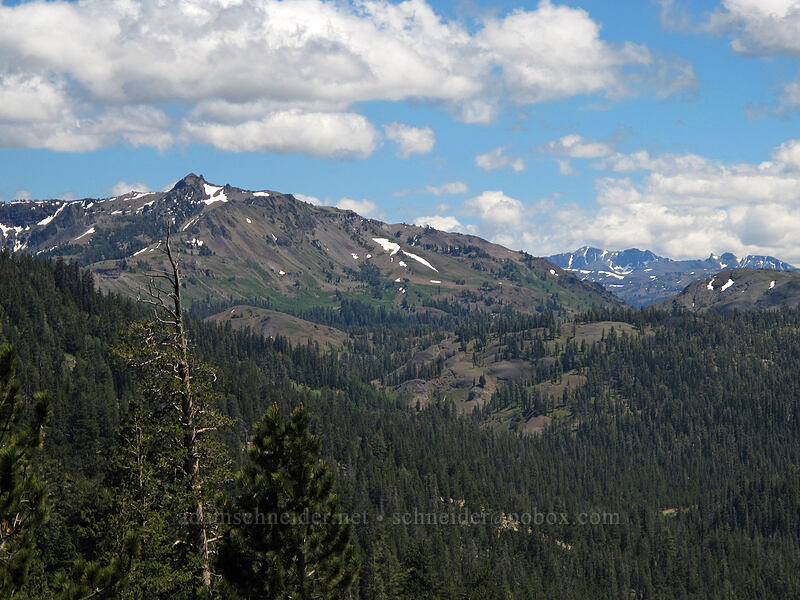 Arnot Peak & Leavitt Peak [CA-4, Toiyabe National Forest, Alpine County, California]
