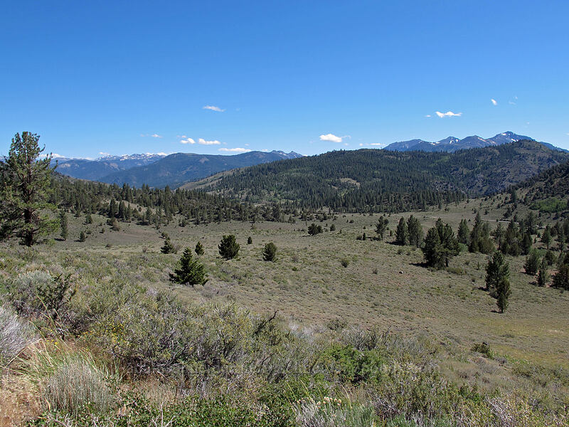 Sagehen Flat & mountains to the south [CA-89, Toiyabe National Forest, Alpine County, California]