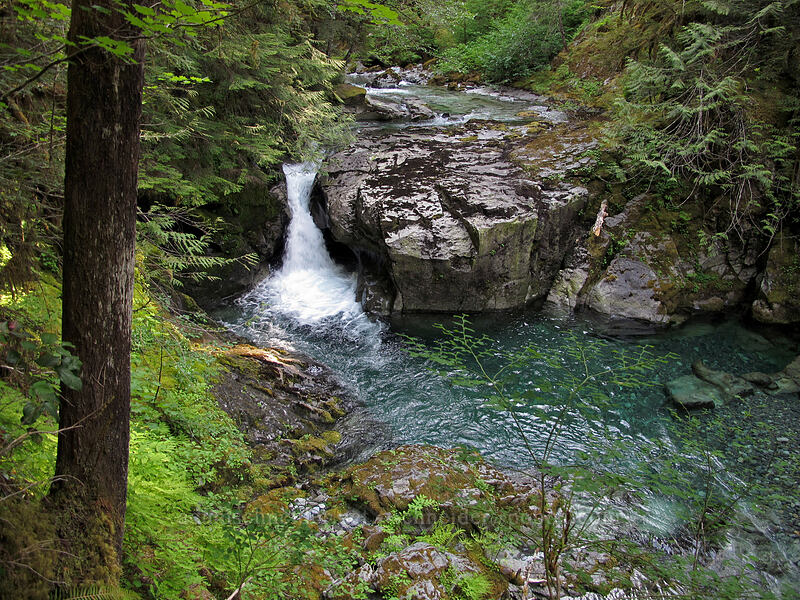 small waterfall on Opal Creek [Kopetski Trail, Opal Creek Scenic Recreation Area, Marion County, Oregon]