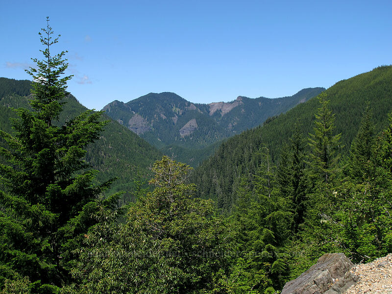 Henline Mountain [Forest Road 2207, Willamette National Forest, Marion County, Oregon]