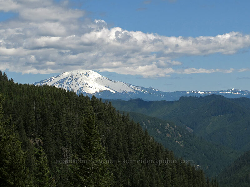Mt. Jefferson [Forest Road 2207, Willamette National Forest, Marion County, Oregon]