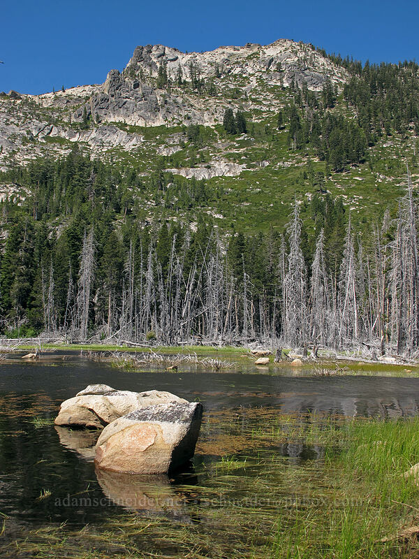 Osgood Swamp & Flagpole Peak [Osgood Swamp, Lake Tahoe Basin, El Dorado County, California]