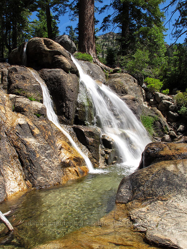 small waterfall [Shirley Canyon Trail, Squaw Valley, Placer County, California]