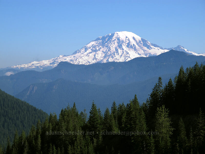 Mt. Rainier [Forest Road 2324, Gifford Pinchot National Forest, Skamania County, Washington]