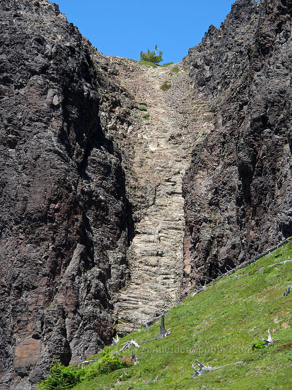 scramble chute [Juniper Ridge Trail, Gifford Pinchot National Forest, Skamania County, Washington]