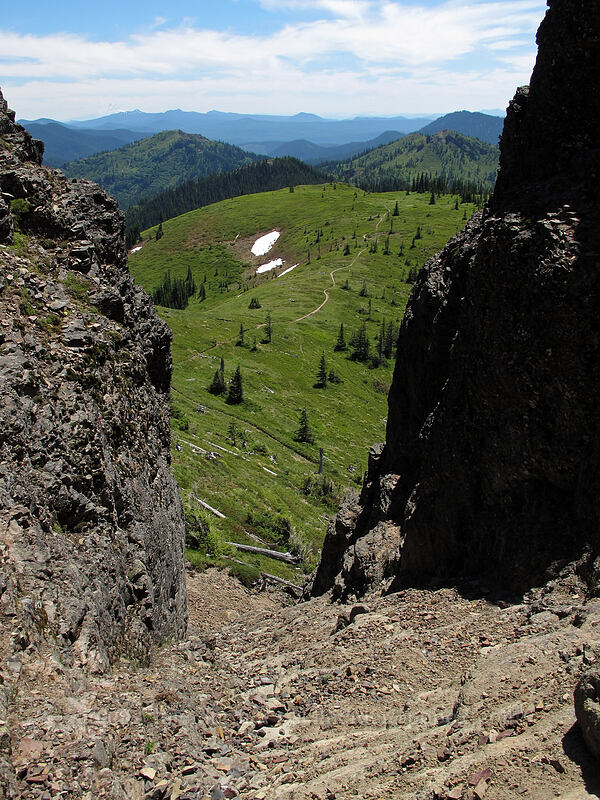 view to the south, down the chute [Jumbo Peak, Gifford Pinchot National Forest, Skamania County, Washington]