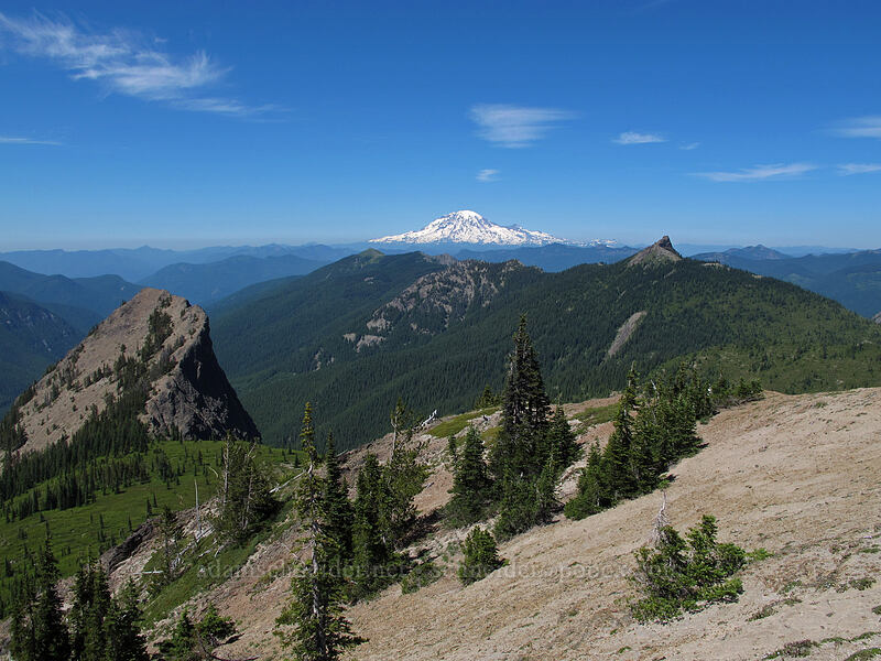 view to the north [Jumbo Peak, Gifford Pinchot National Forest, Skamania County, Washington]