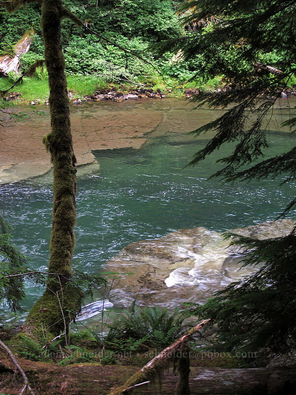 Lewis River [Lewis River Trail, Gifford Pinchot National Forest, Skamania County, Washington]