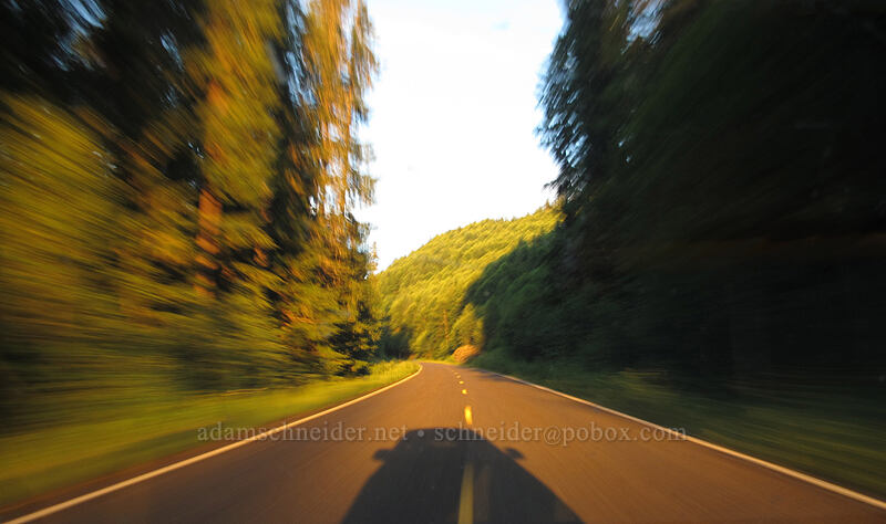 motion blur [Curly Creek Road, Gifford Pinchot National Forest, Skamania County, Washington]