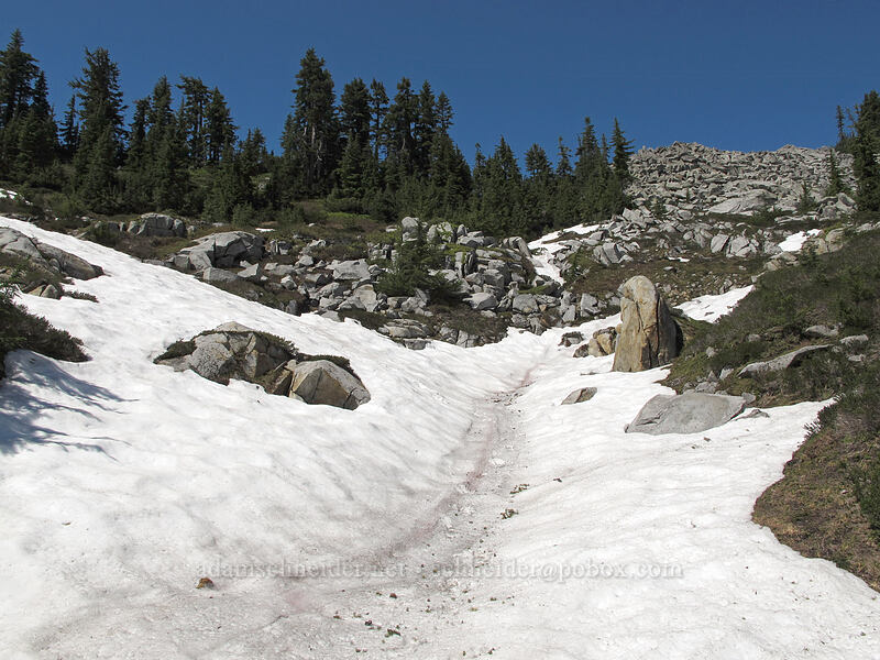 snowfields [above the Pacific Crest Trail, Alpine Lakes Wilderness, Kittitas County, Washington]