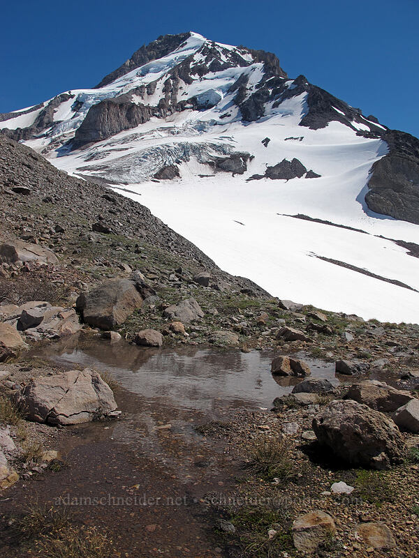 meltwater puddle [Ladd Glacier moraine, Mt. Hood Wilderness, Hood River County, Oregon]