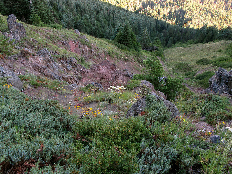 Bald Mountain summit scramble [Bald Mountain, Mt. Hood Wilderness, Clackamas County, Oregon]