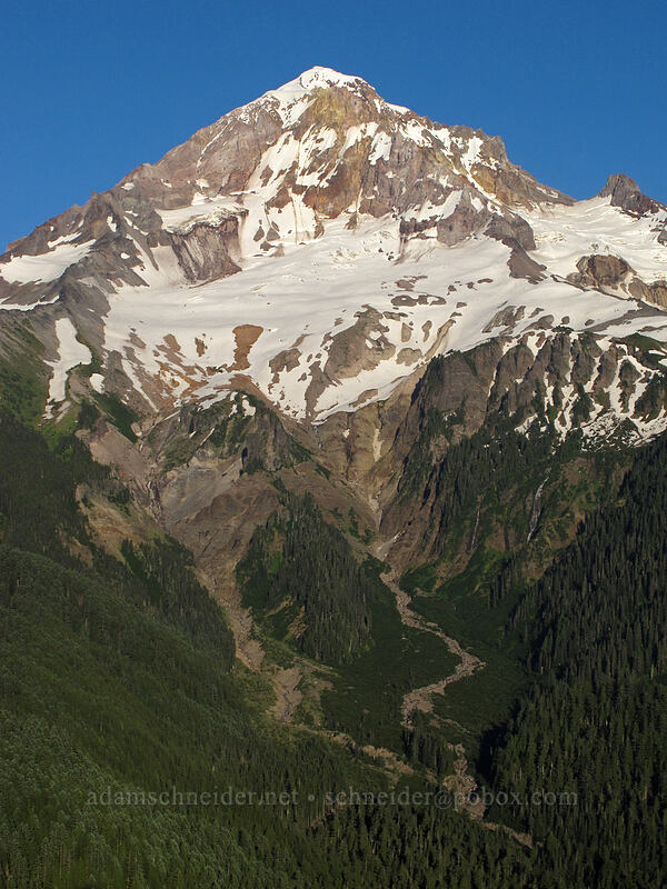 Mount Hood & Sandy Glacier [Bald Mountain summit, Mt. Hood Wilderness, Clackamas County, Oregon]
