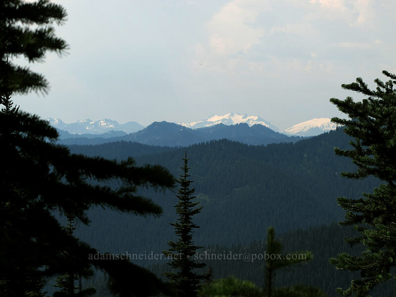 view south toward Mt. Daniel [Cady Ridge Trail, Henry M. Jackson Wilderness, Chelan County, Washington]