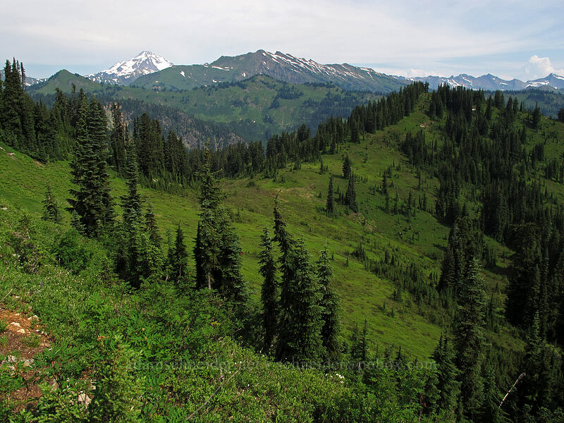 mountains to the north and northeast [Cady Ridge Trail, Henry M. Jackson Wilderness, Chelan County, Washington]