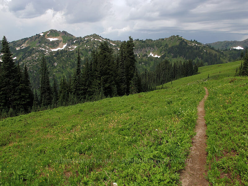 Skykomish Peak & Cady Ridge [Cady Ridge Trail, Henry M. Jackson Wilderness, Chelan County, Washington]