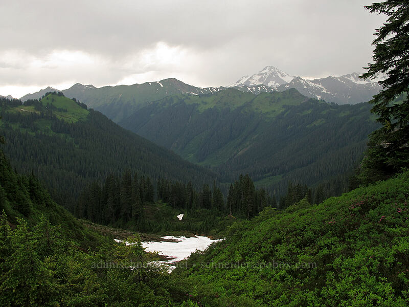 Glacier Peak & the Sauk River Valley [Pacific Crest Trail, Henry M. Jackson Wilderness, Snohomish County, Washington]