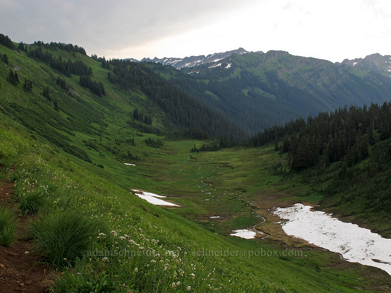 Meander Meadow [Little Wenatchee Trail, Henry M. Jackson Wilderness, Chelan County, Washington]