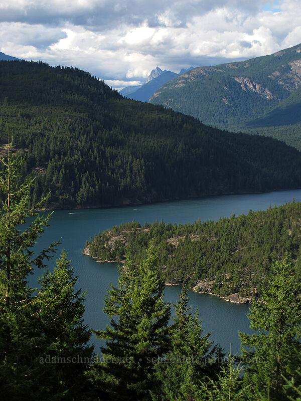 Ross Lake [Ross Lake Overlook, North Cascades National Park, Whatcom County, Washington]