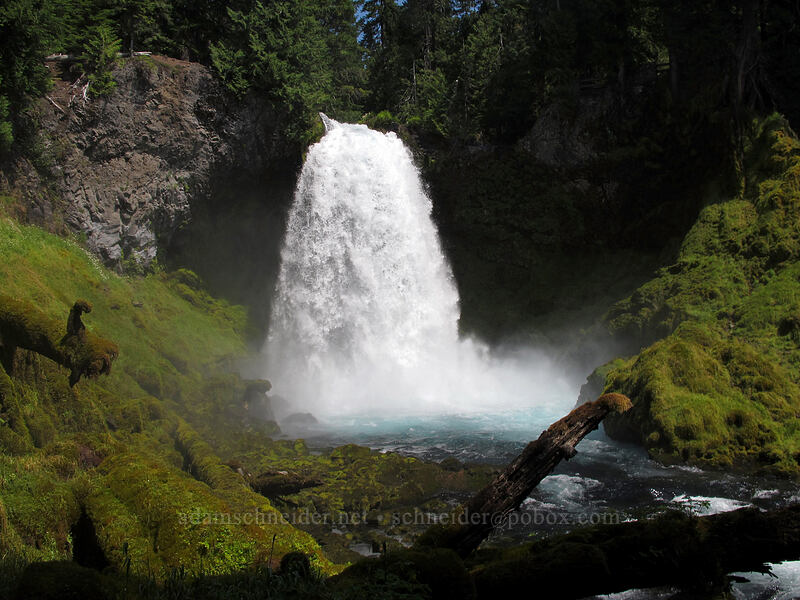 Sahalie Falls [McKenzie River Trail, Willamette National Forest, Linn County, Oregon]
