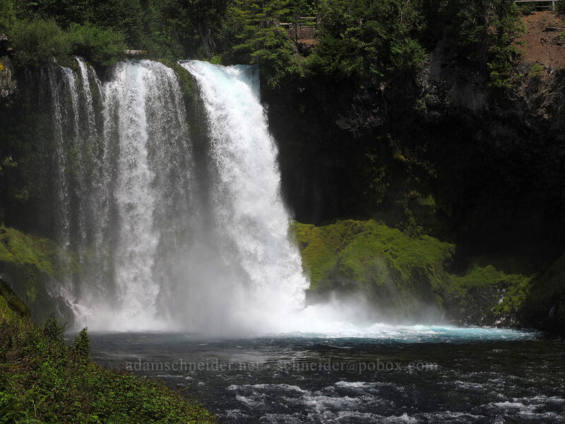 Koosah Falls [Waterfalls Loop Trail, Willamette National Forest, Linn County, Oregon]