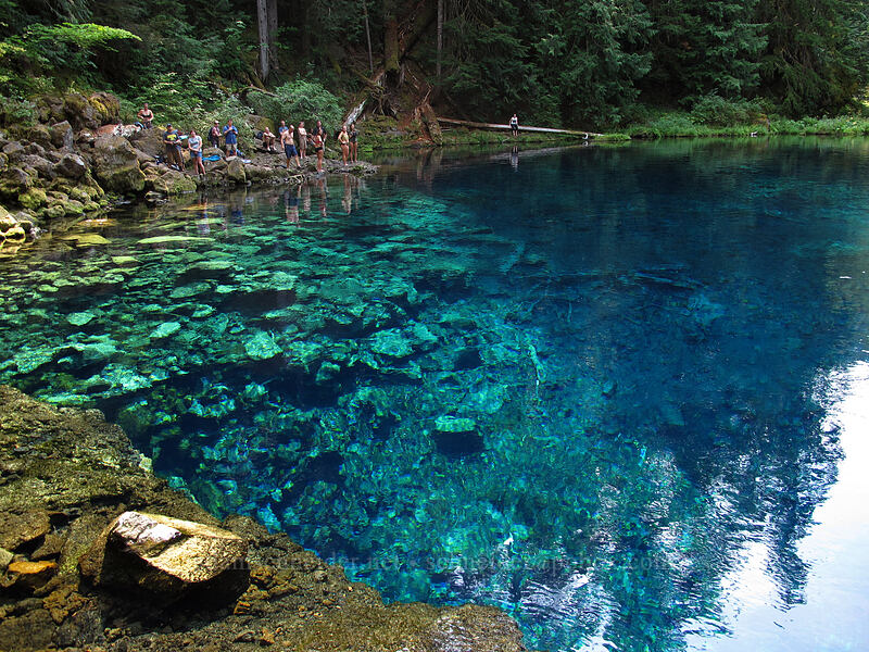 Blue Pool & swimmers [Tamolitch Pool, Willamette National Forest, Linn County, Oregon]