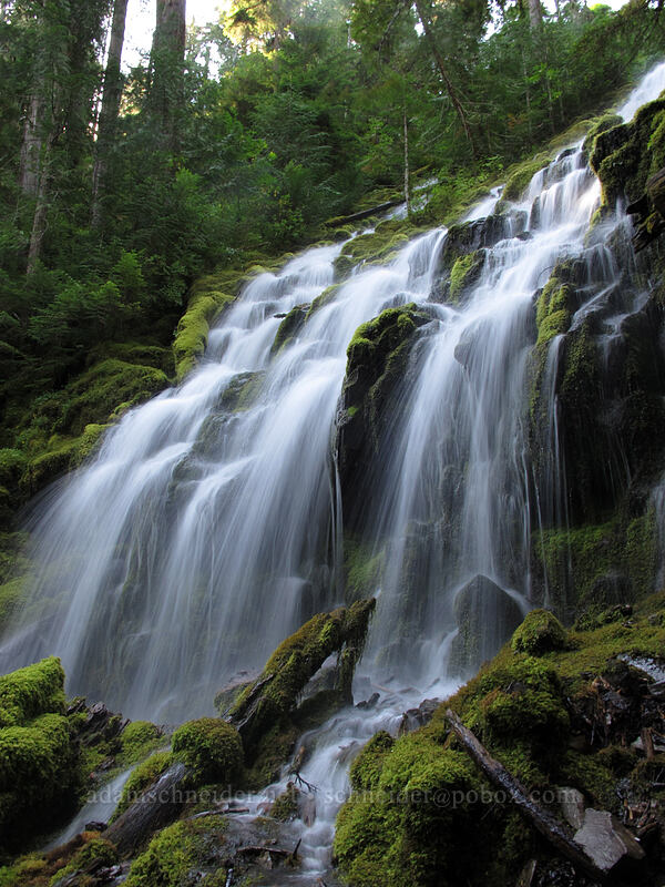 Upper Proxy Falls [Proxy Falls Trail, Willamette National Forest, Lane County, Oregon]