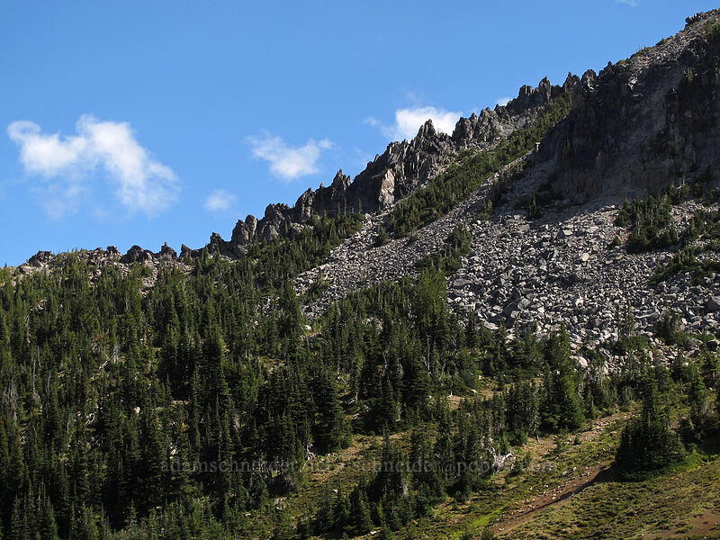 west side of the ridge between Burroughs Mountain & Skyscraper Mountain [north of Burroughs Mountain, Mount Rainier National Park, Pierce County, Washington]