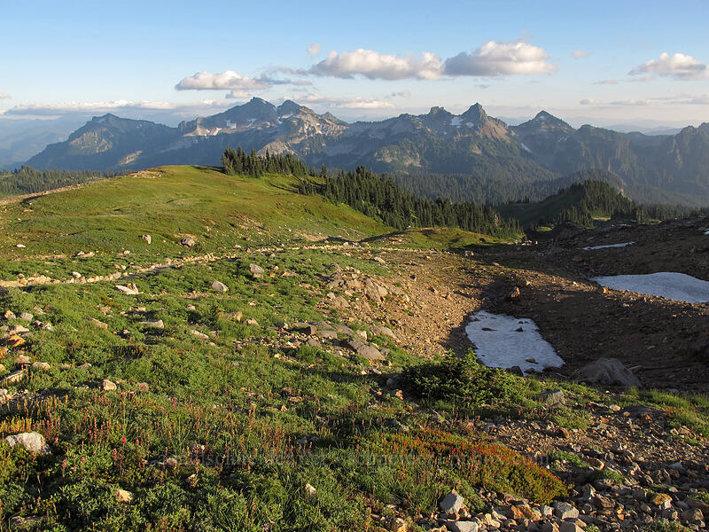 Tatoosh Range [Deadhorse Creek Trail, Mount Rainier National Park, Pierce County, Washington]