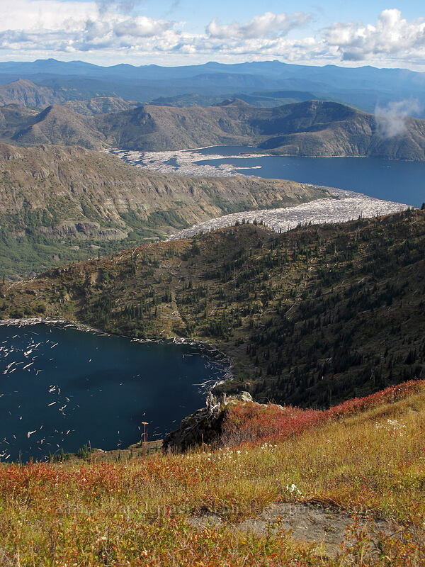 St. Helens Lake & Spirit Lake [Coldwater Peak, Mt. St. Helens National Volcanic Monument, Skamania County, Washington]