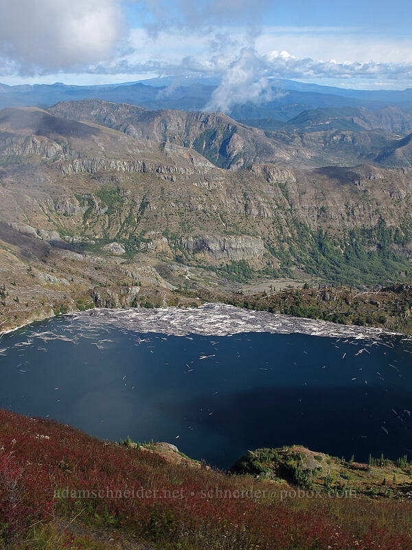 St. Helens Lake [Coldwater Peak, Mt. St. Helens National Volcanic Monument, Skamania County, Washington]