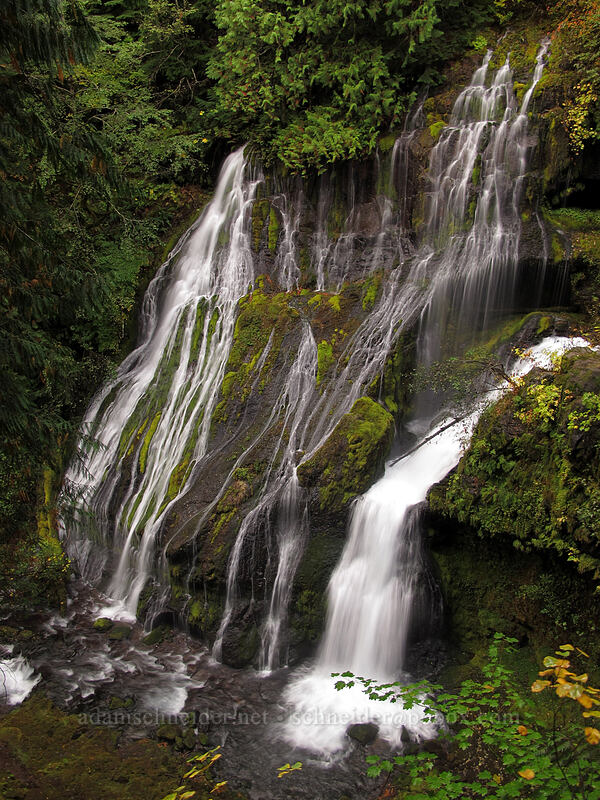 Panther Creek Falls [Trail 137, Gifford Pinchot National Forest, Skamania County, Washington]